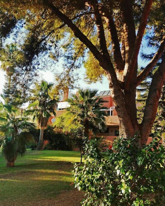 Apartamento Peaceful Sea&mountain View House